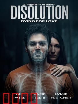 溶解：自我毁灭的代价